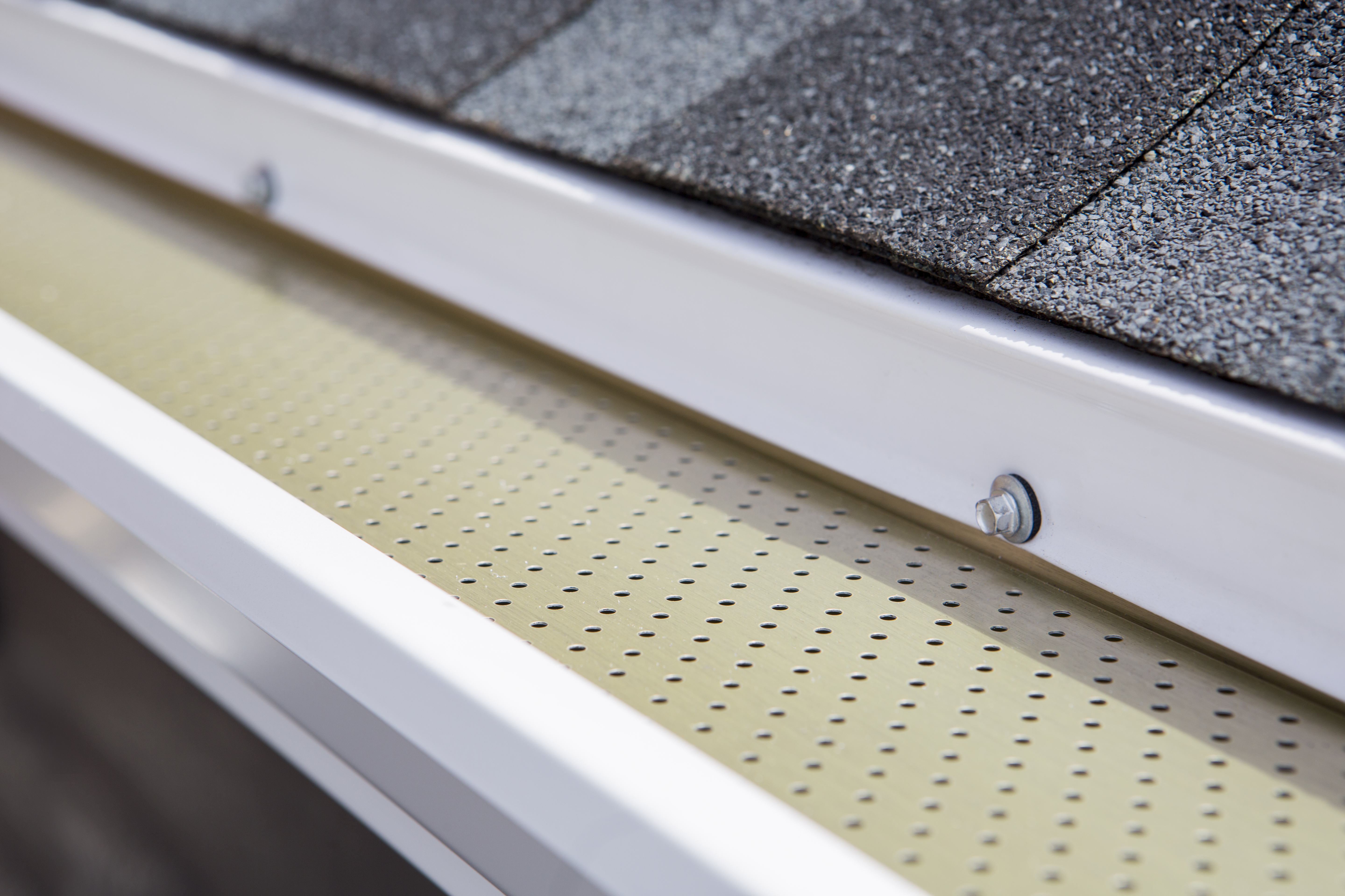 Alu-Rex Guard gutter guard